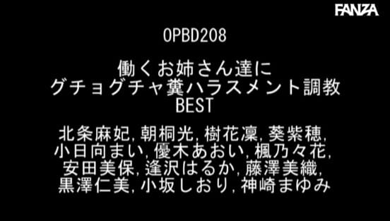 働くお姉さん達にグチョグチャ糞ハラスメント調教BESTサンプル２