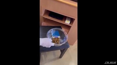 便器君を破壊する1kg超えの糞尿サンプル１
