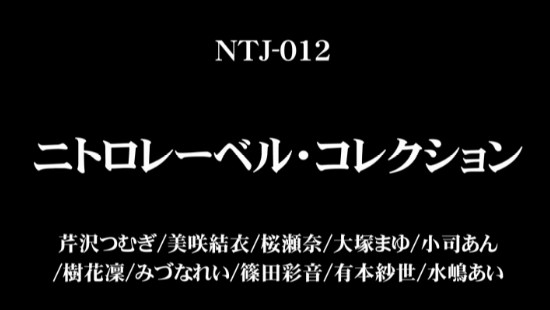 ニトロレーベル・コレクションサンプル２